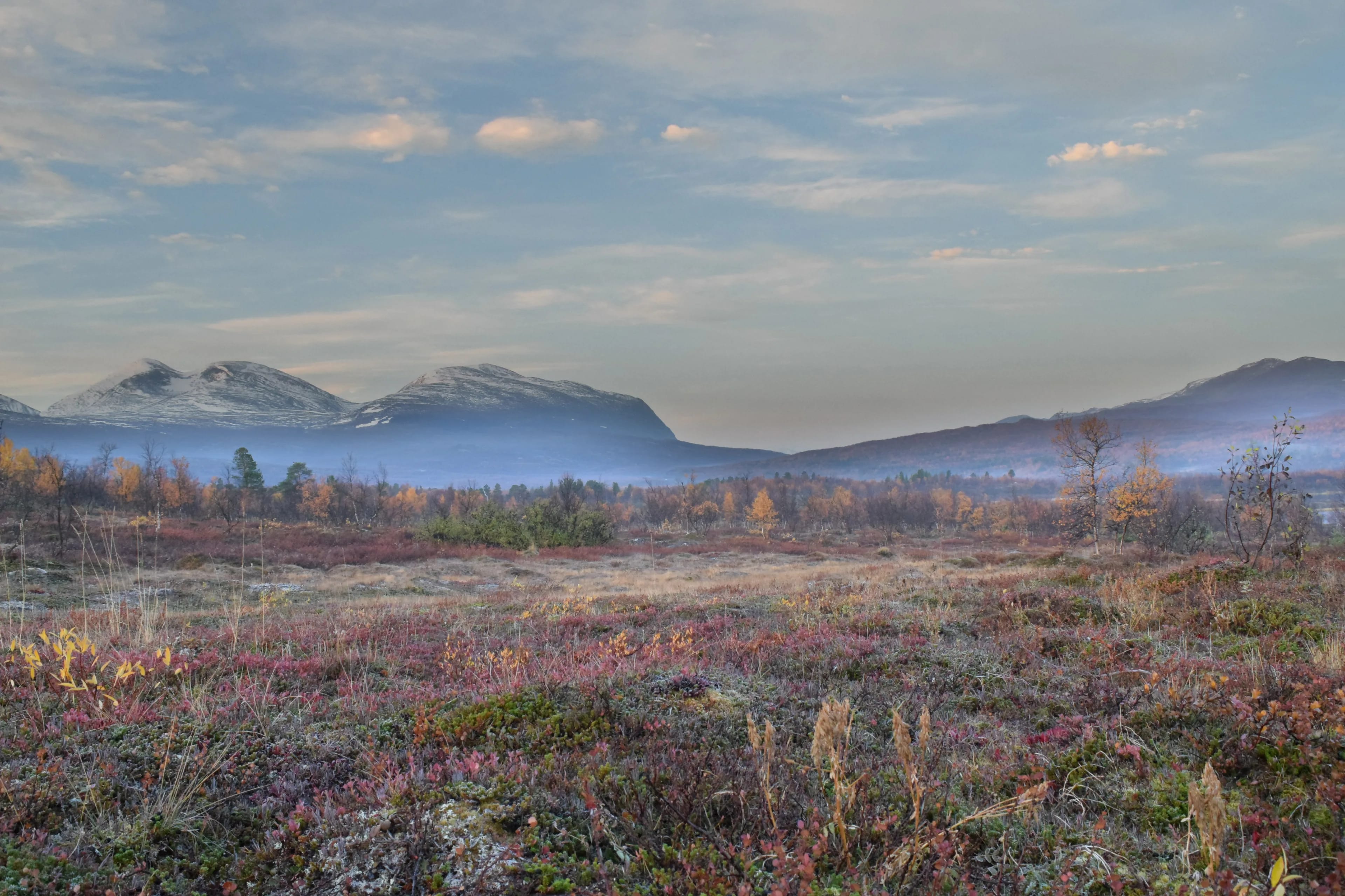 Abisko