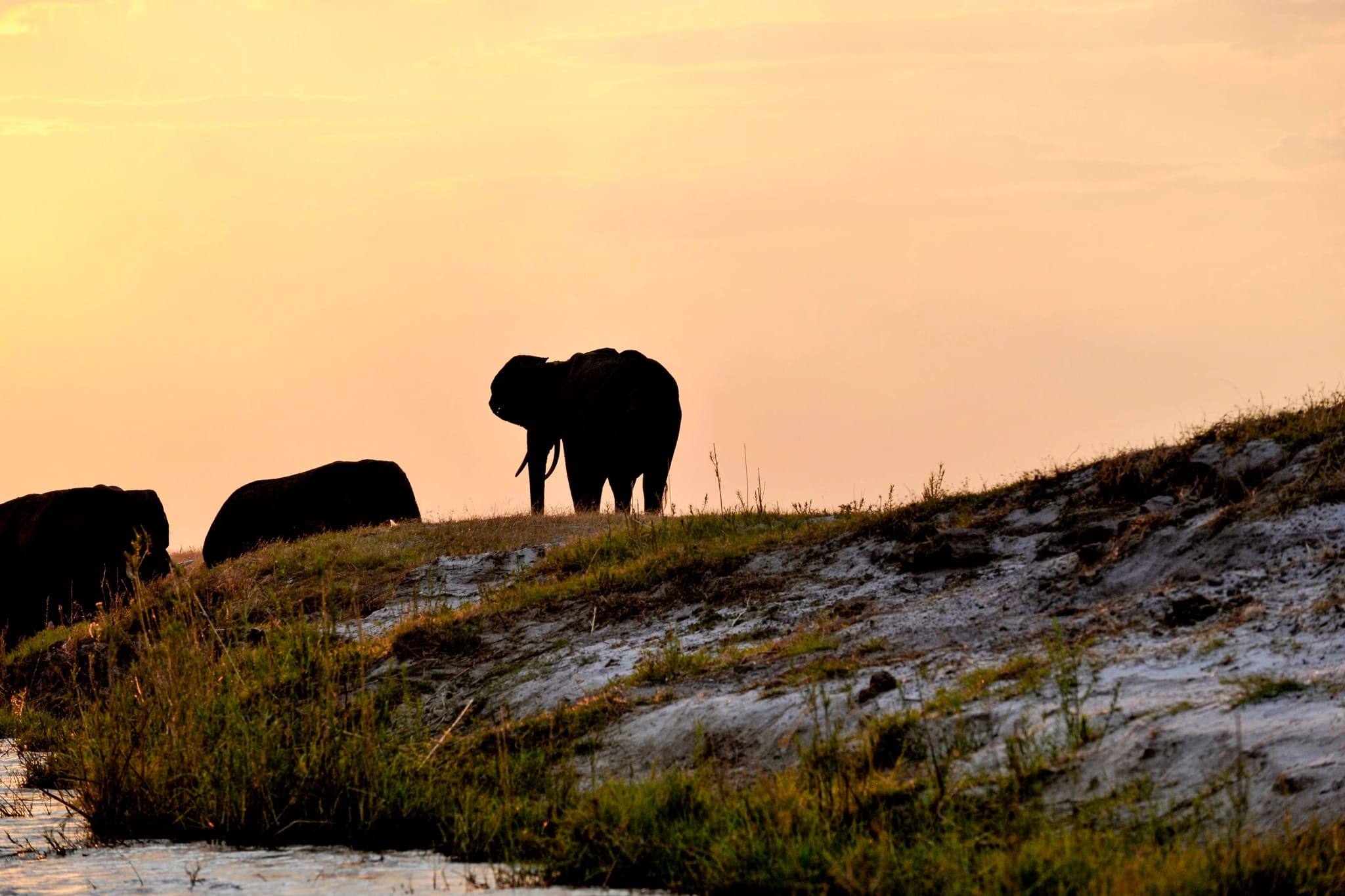 Chobe
