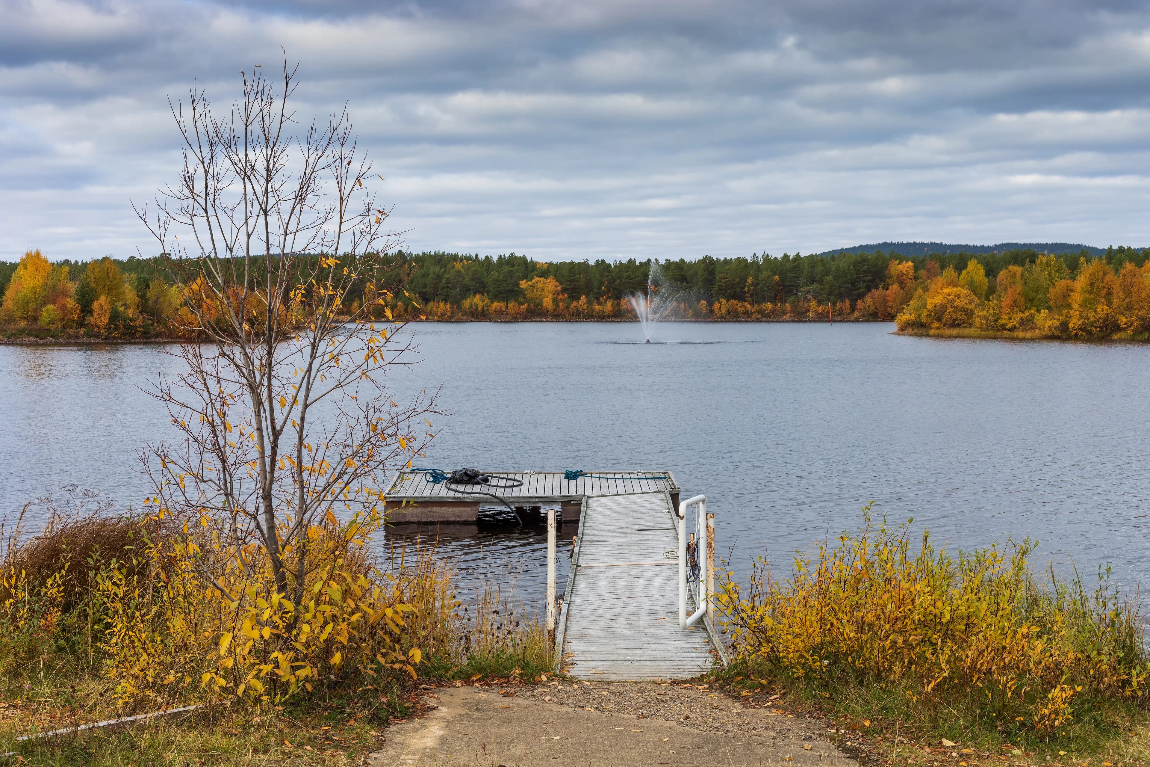 Inari
