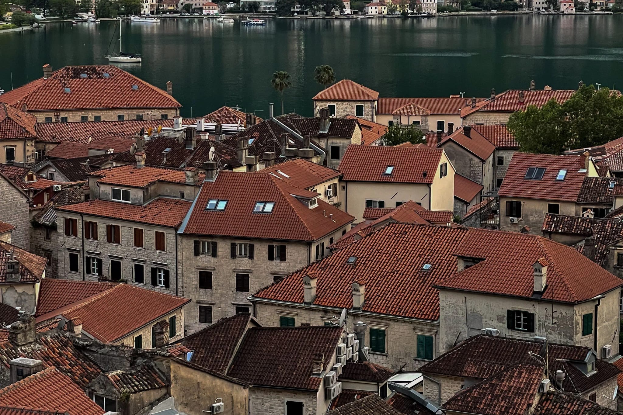 Kotor