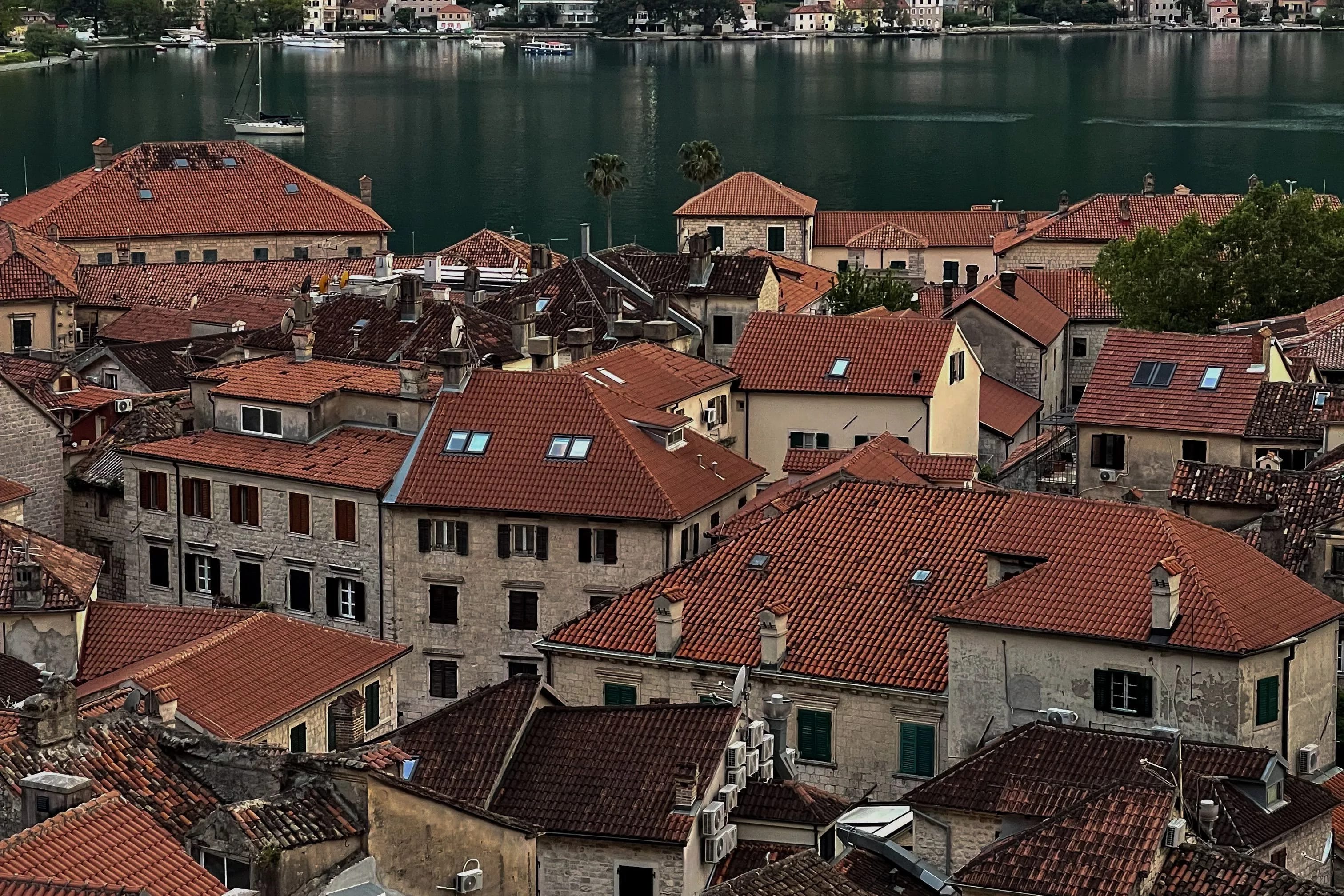 Kotor