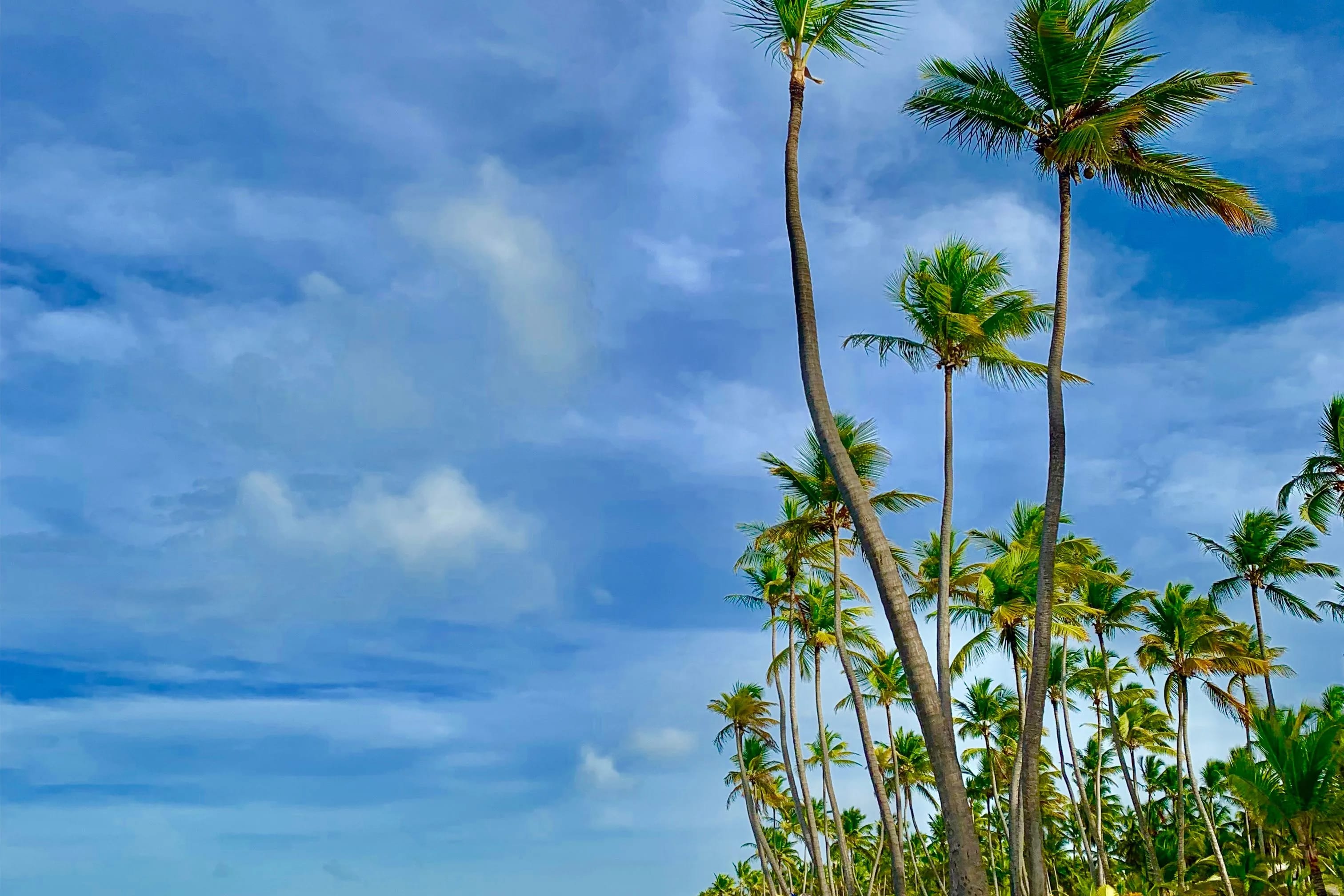 Punta Cana