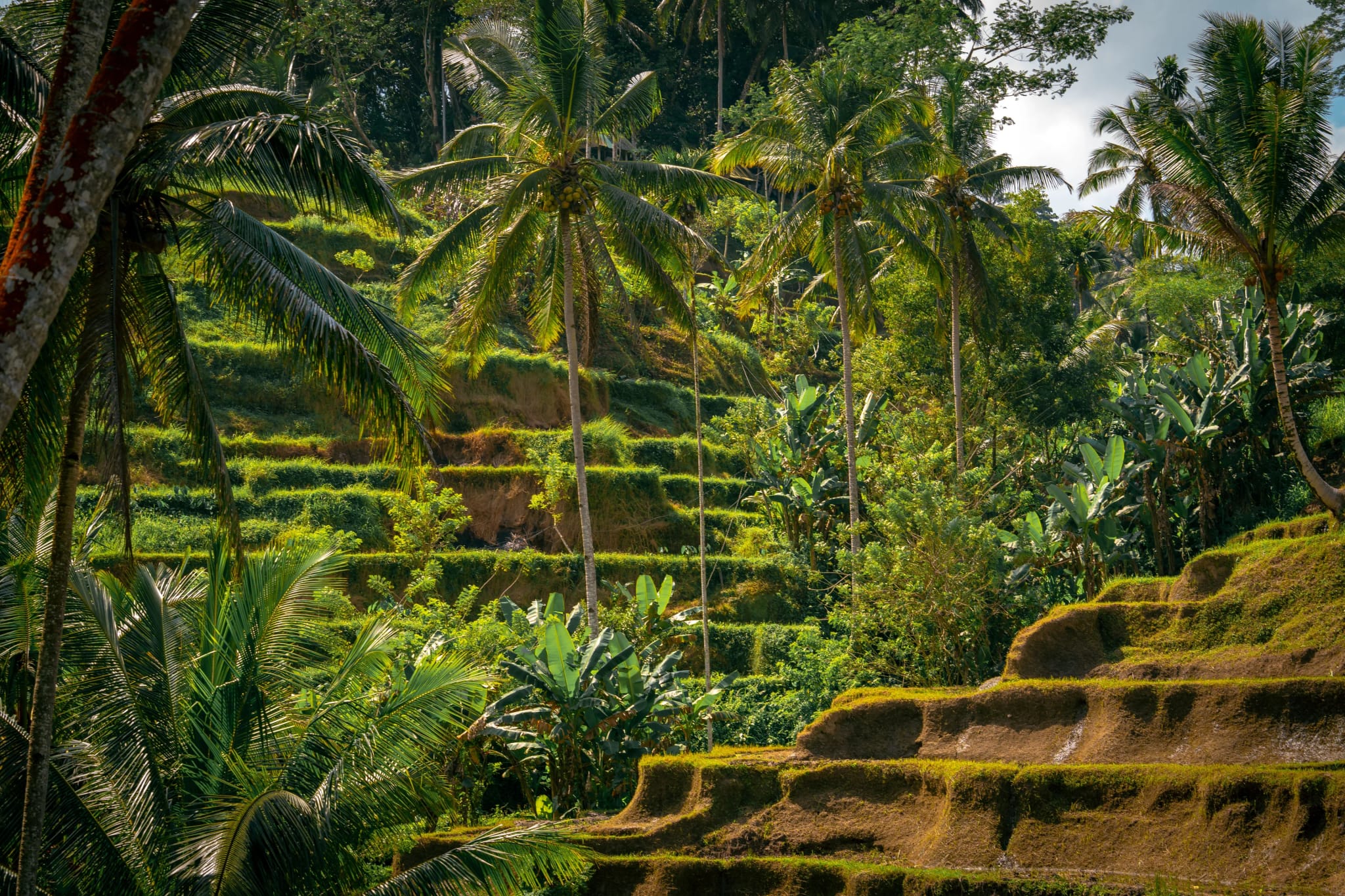 Ubud