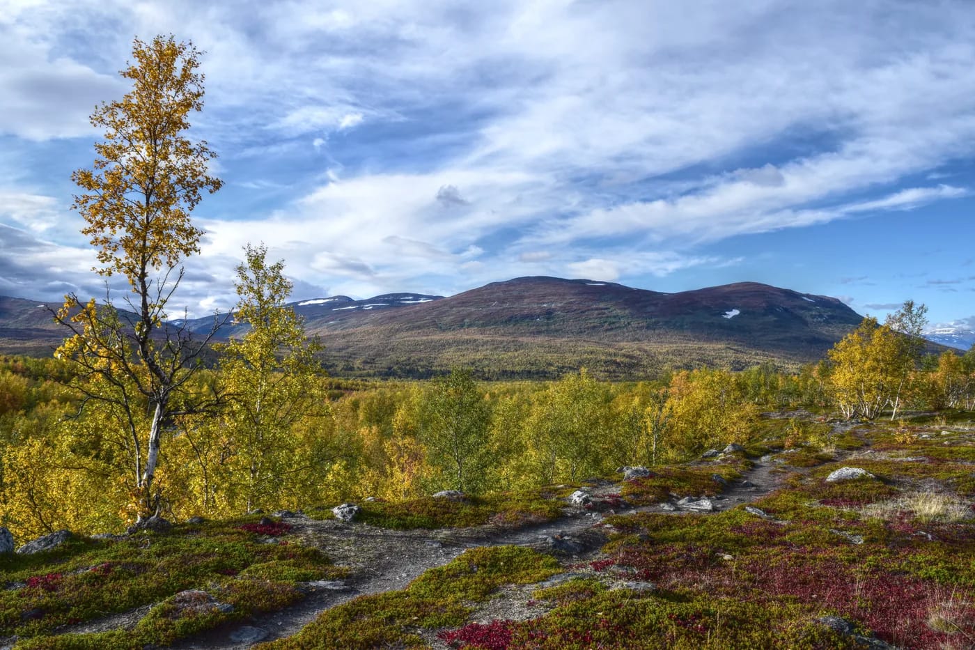 Abiskon kansallispuiston tunturimaisemaa