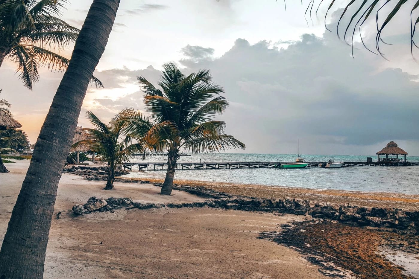 Palmuja ja laituri Ambergris Cayen rannalla