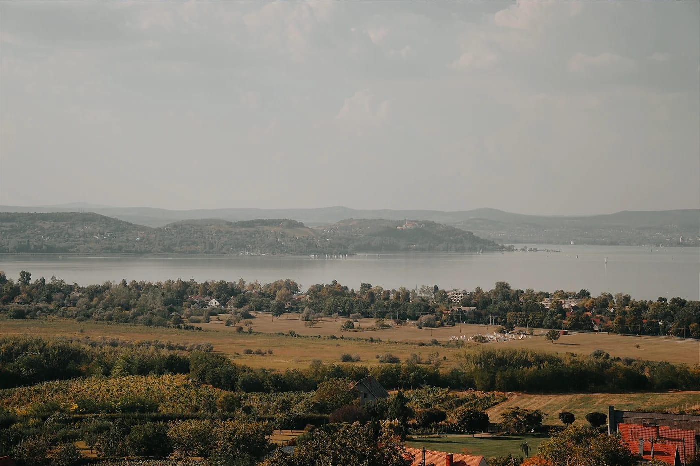 Balaton viinitilalta