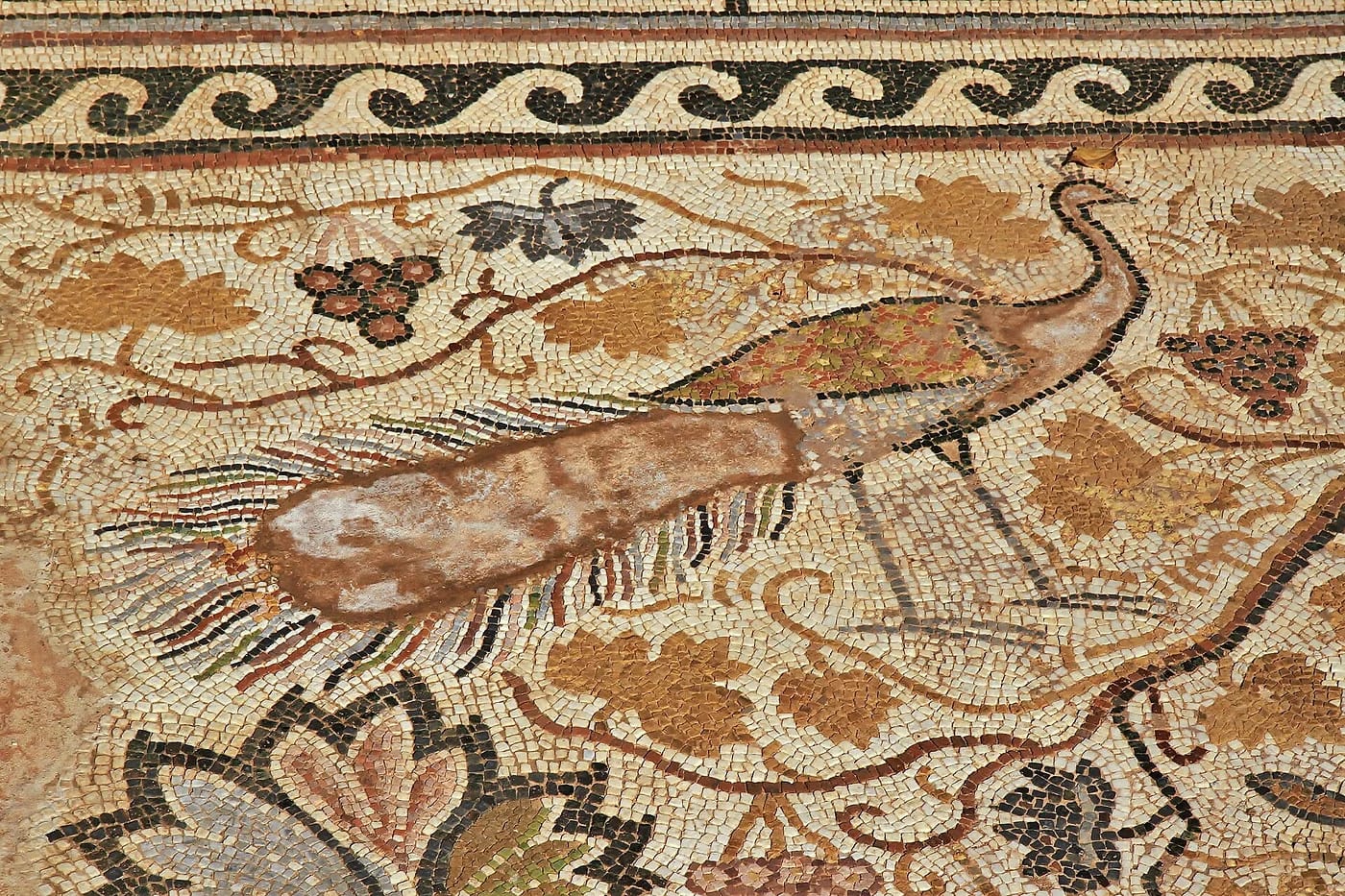 Heraclean mosaiikkilattia