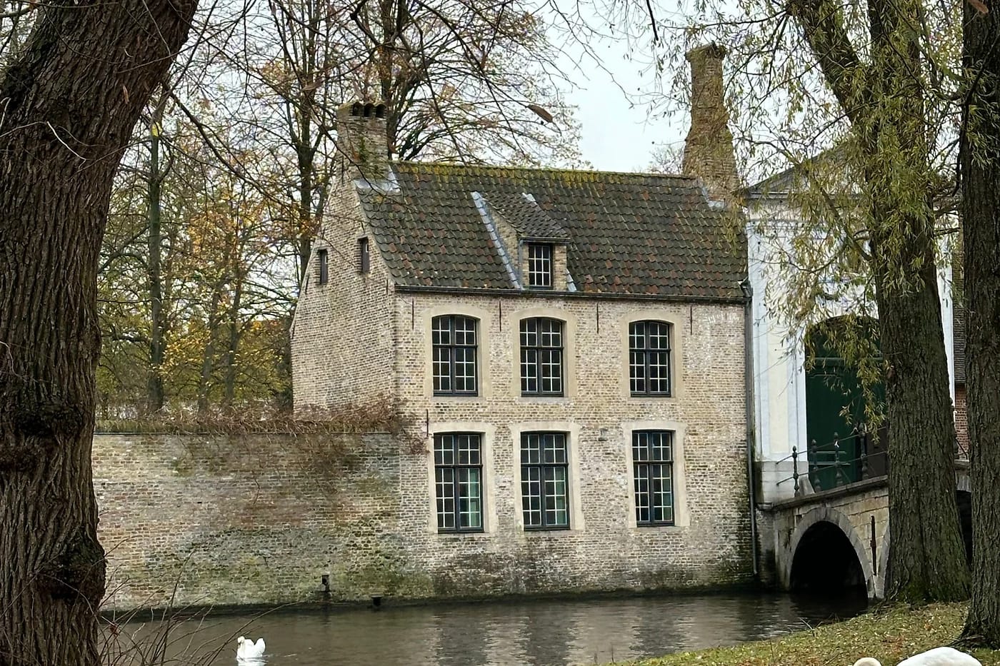 Bruggen begiinikortteli syksyllä joutsenineen