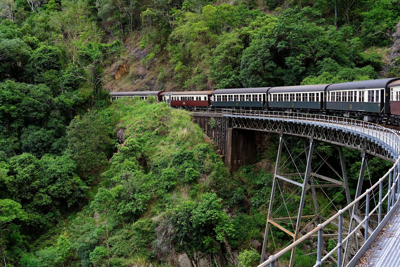 Kuranda Scenic Railway sademetsässä