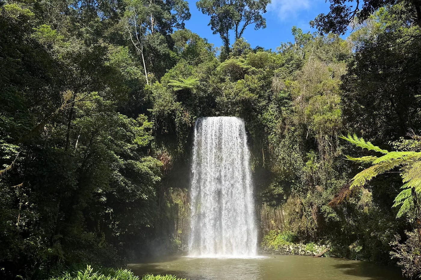 Millaa Millaa Falls Atherton Tablelandsilla