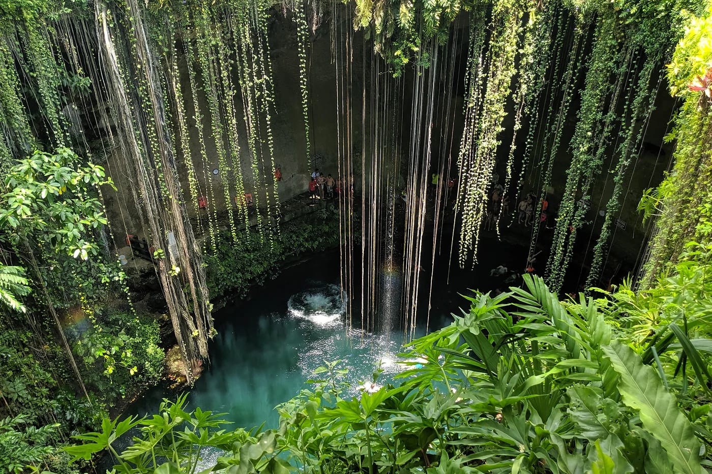 Cenote Ik Kil vehreän kasvillisuuden ympäröimänä