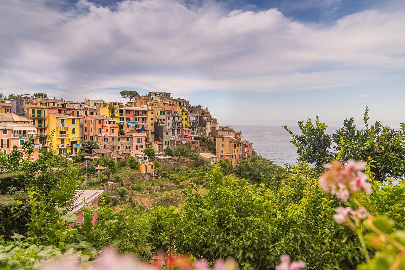 Corniglia kallion laella