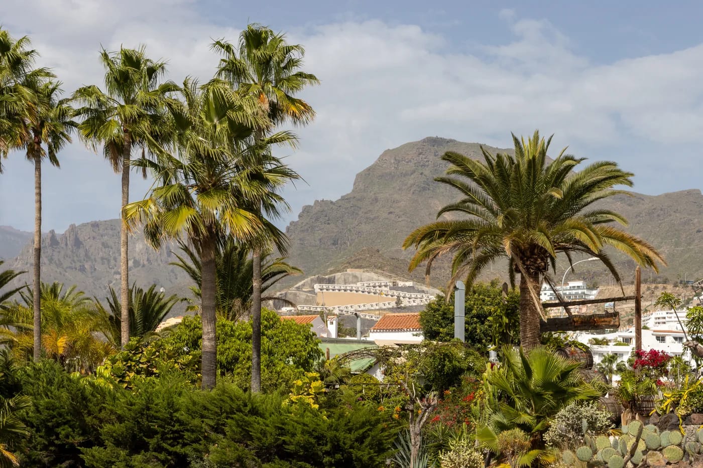 Palmuja ja vuoristomaisema Costa Adejen rantavyöhykkeellä
