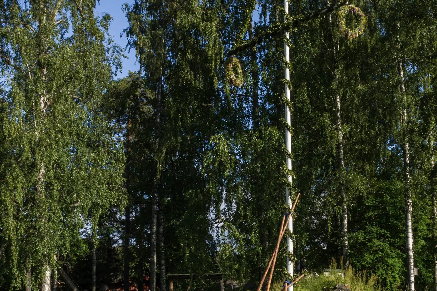 Juhannussalko koivujen keskellä Säterissä