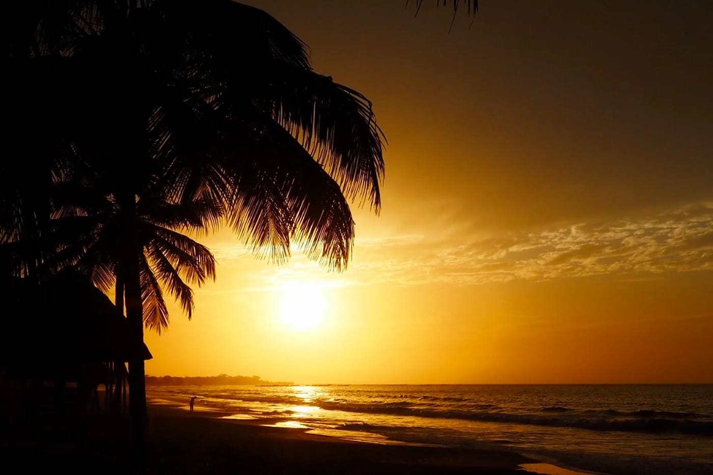 Auringonlasku ja palmusiluetteja Gambian rannalla