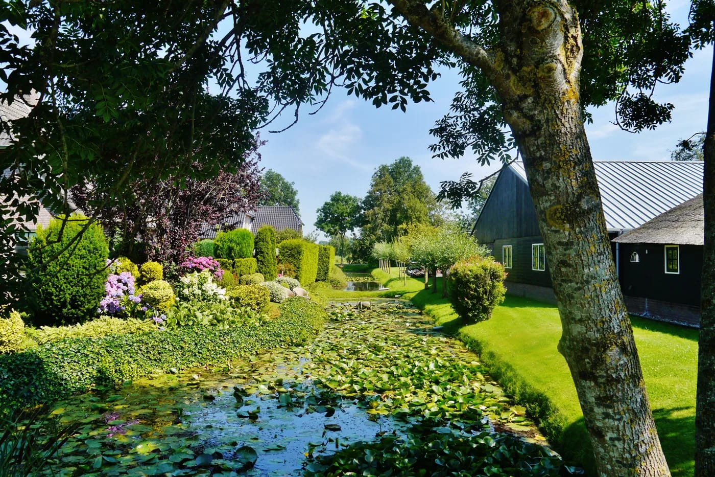 Kukkiva puutarha ja lumpeet Giethoornin kanavalla