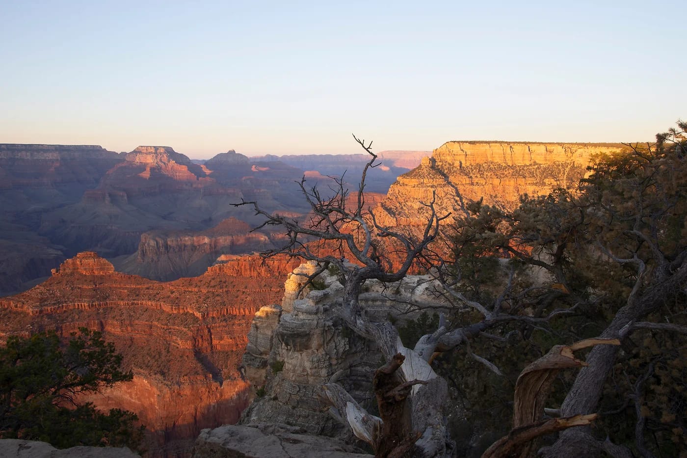 Grand Canyonin jyrkänteet auringonlaskun väreissä