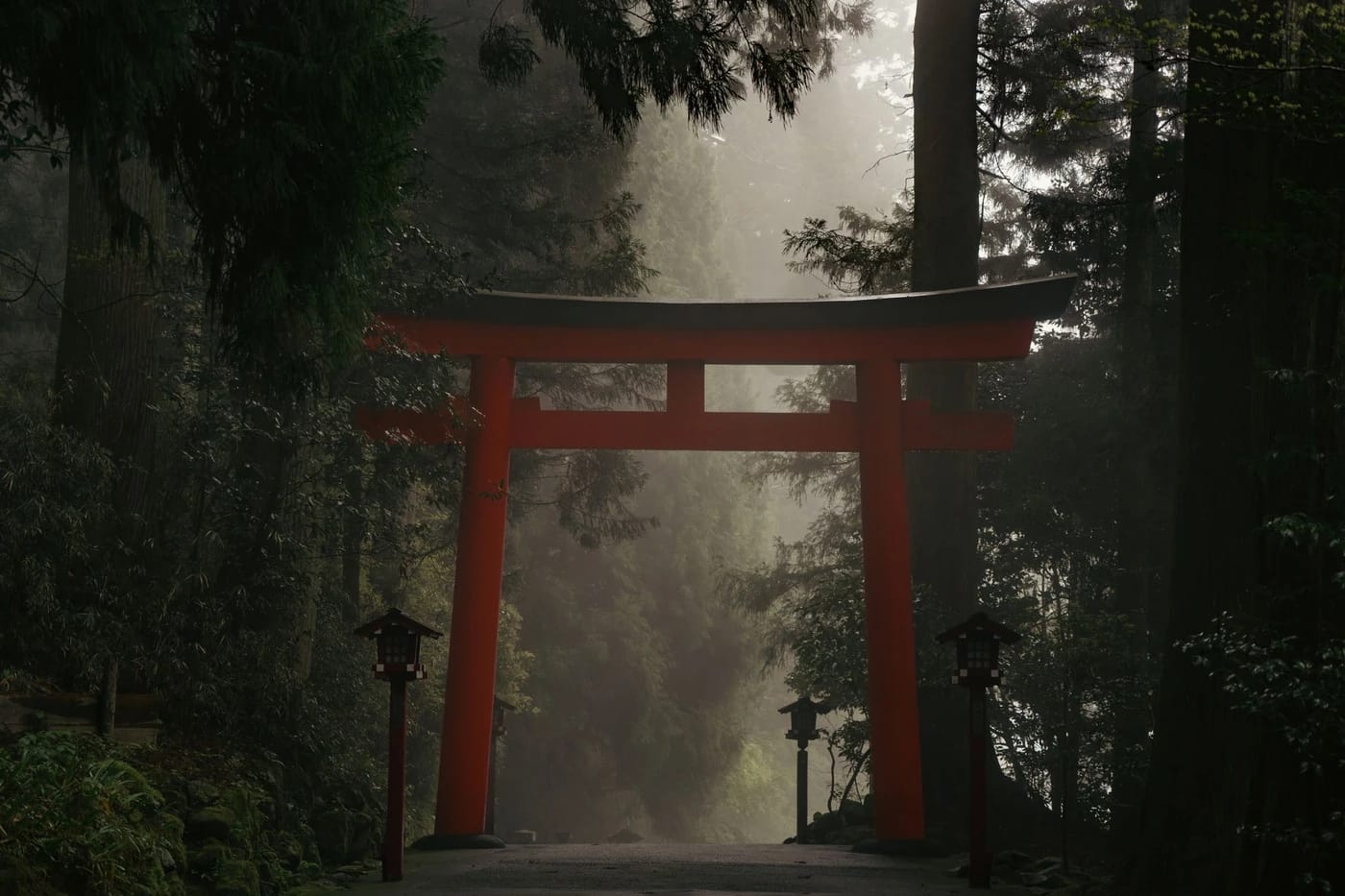 Torii-portti sumuisessa metsässä Hakonessa