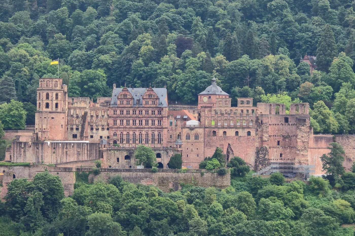 Heidelbergin linna metsäisen rinteen yllä