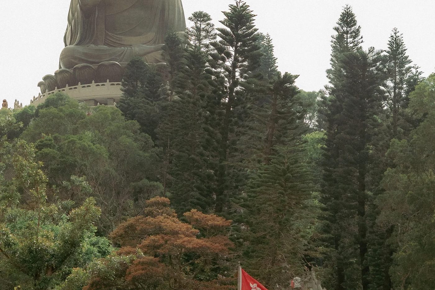 Tian Tan Buddha vehreän metsän keskellä Hongkongissa