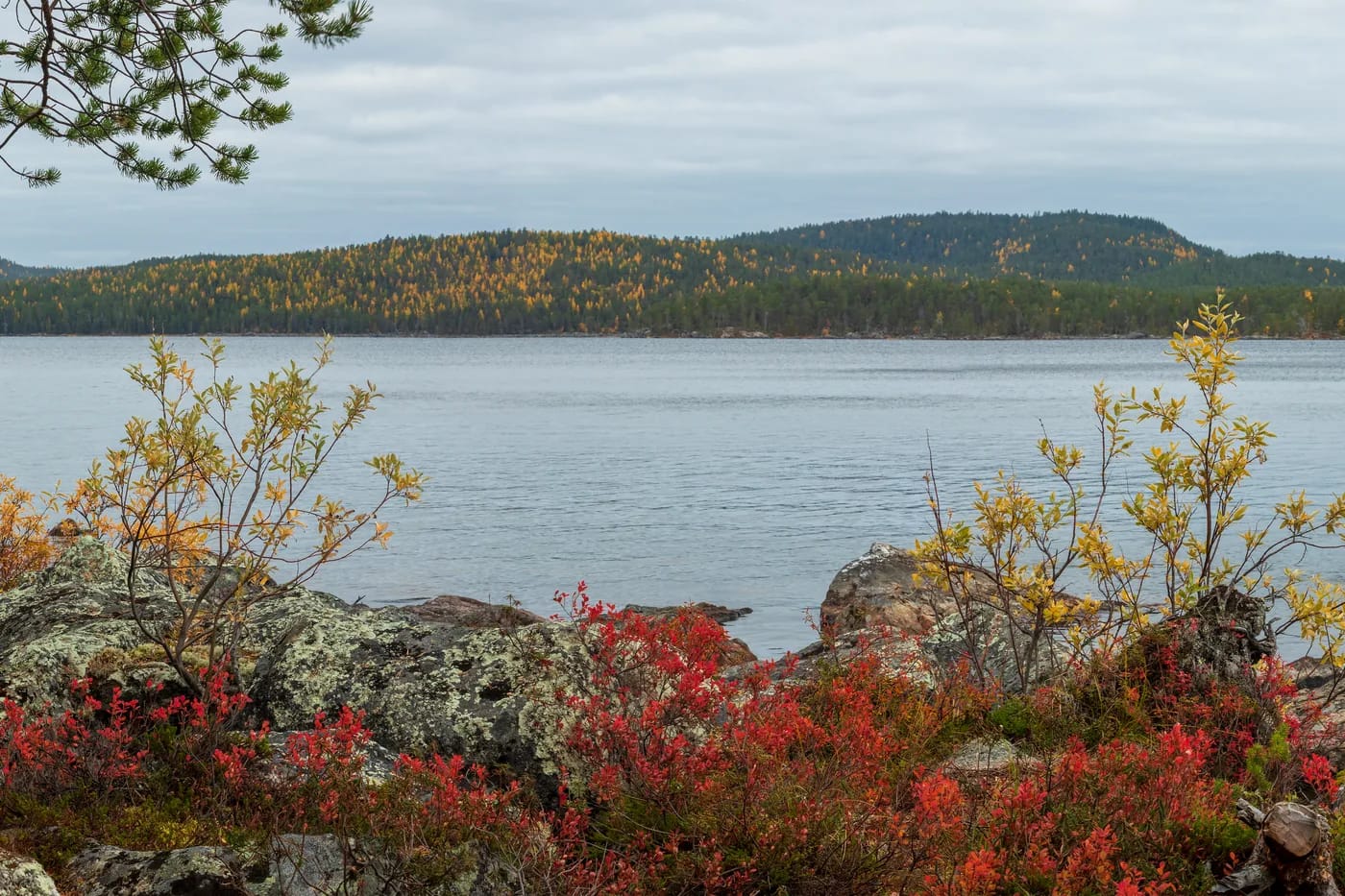 Ukonjärven ranta ruskan aikaan