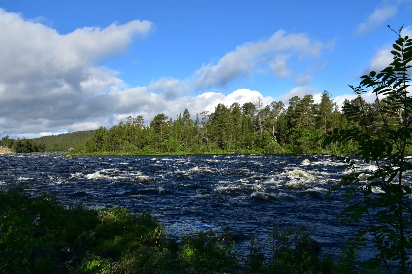 Juutuanjoen koski