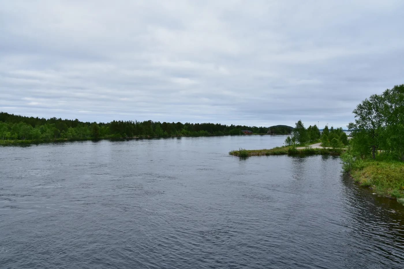 Juutuanjoki ja rantametsää