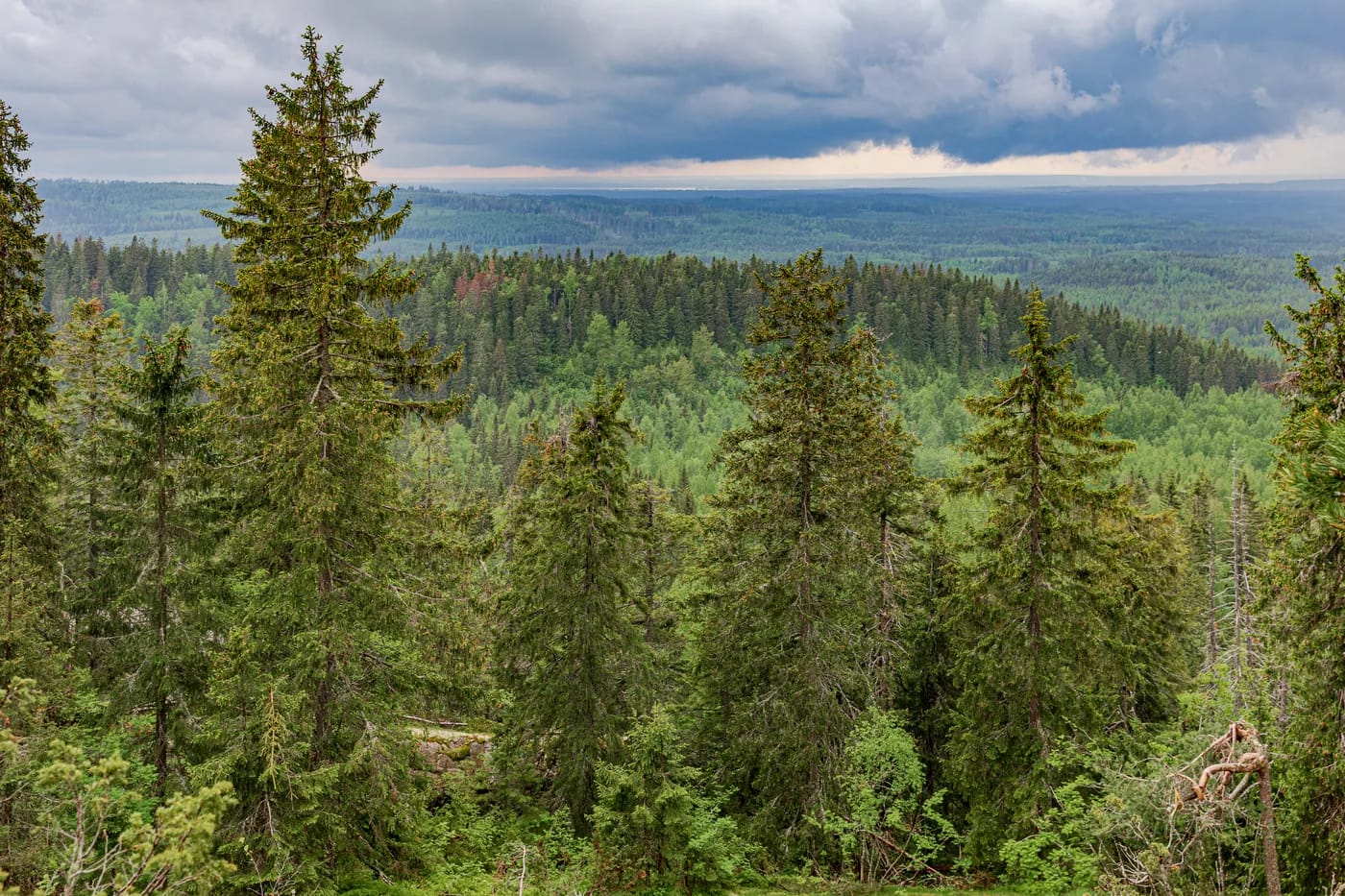 Vaarojen jono kansallispuistossa