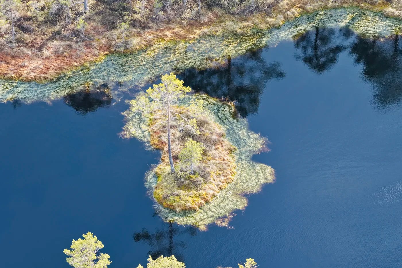 Lahemaan kansallispuiston maisemaa ja kartanoita