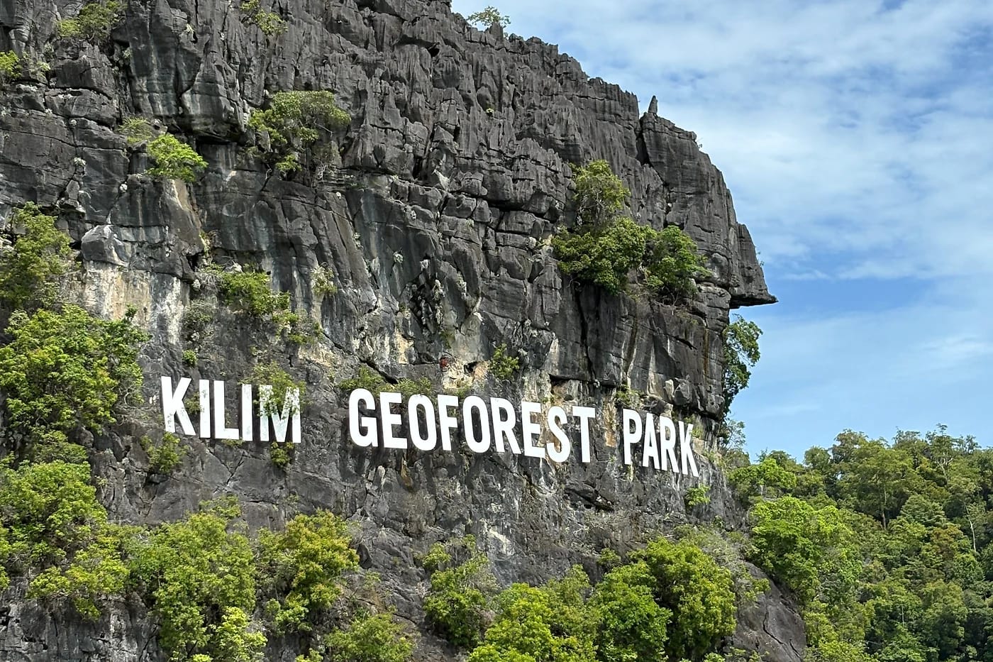 Kilim Geoforest -puiston kalkkikivikallio