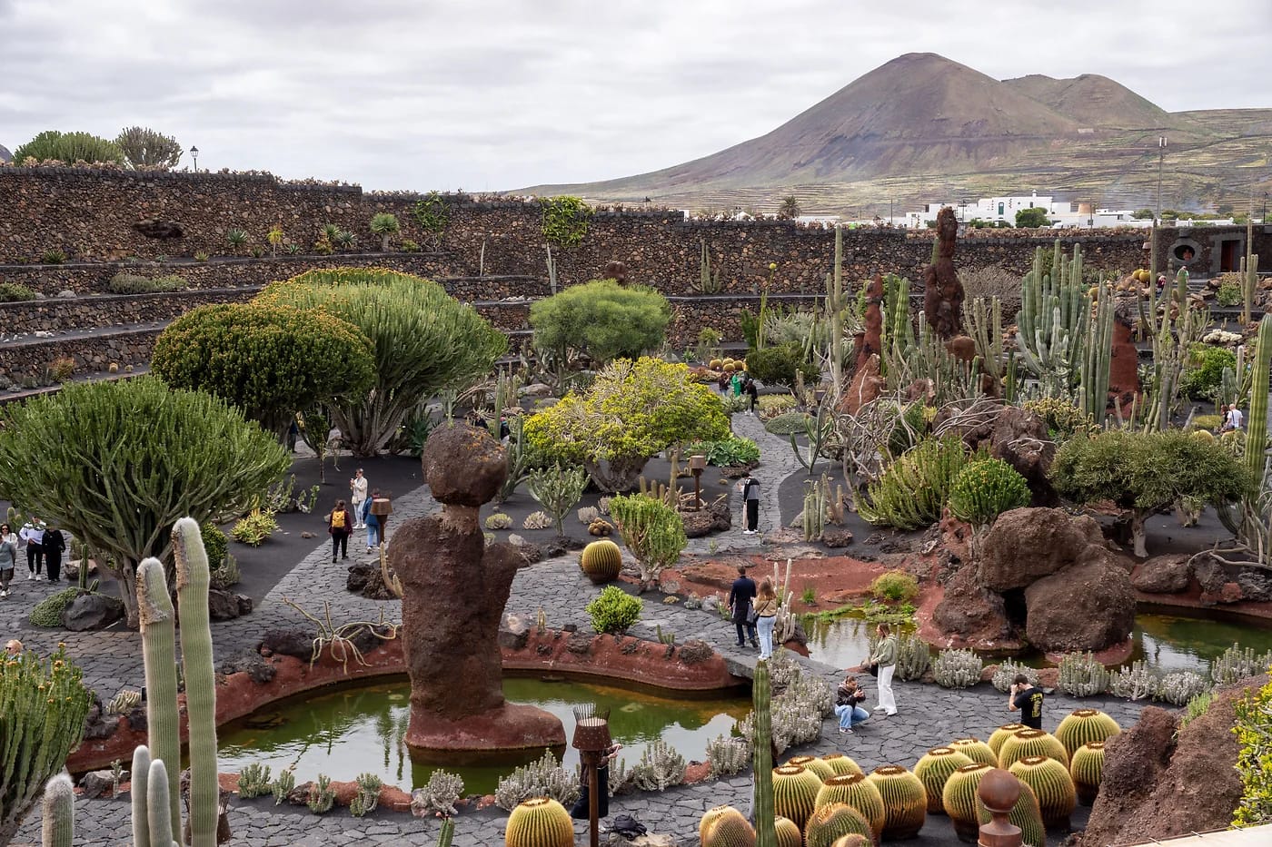 Jardín de Cactus -kaktuspuutarha