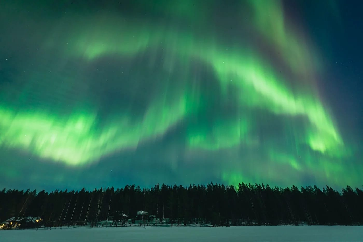 Revontulet lumisen metsän yllä