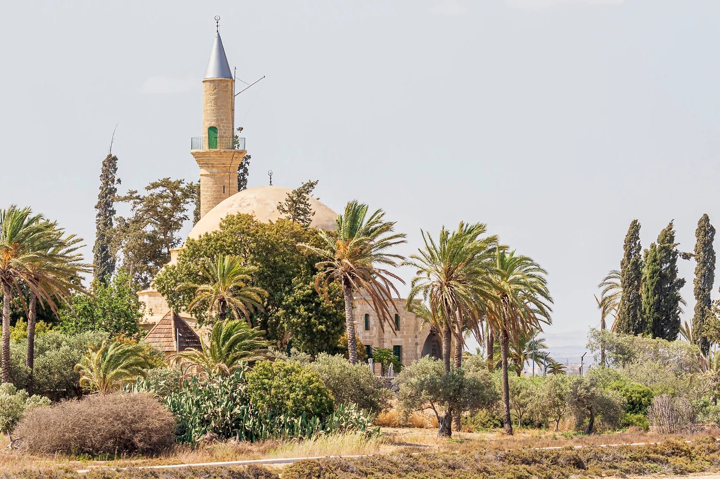Hala Sultan Tekken moskeija palmulehdossa