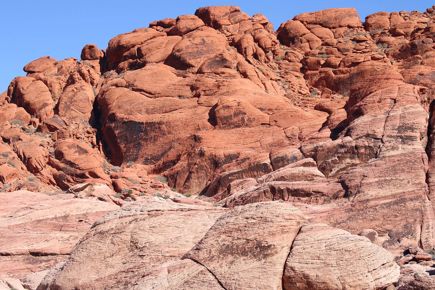 Red Rock Canyonin punaiset hiekkakivikalliot