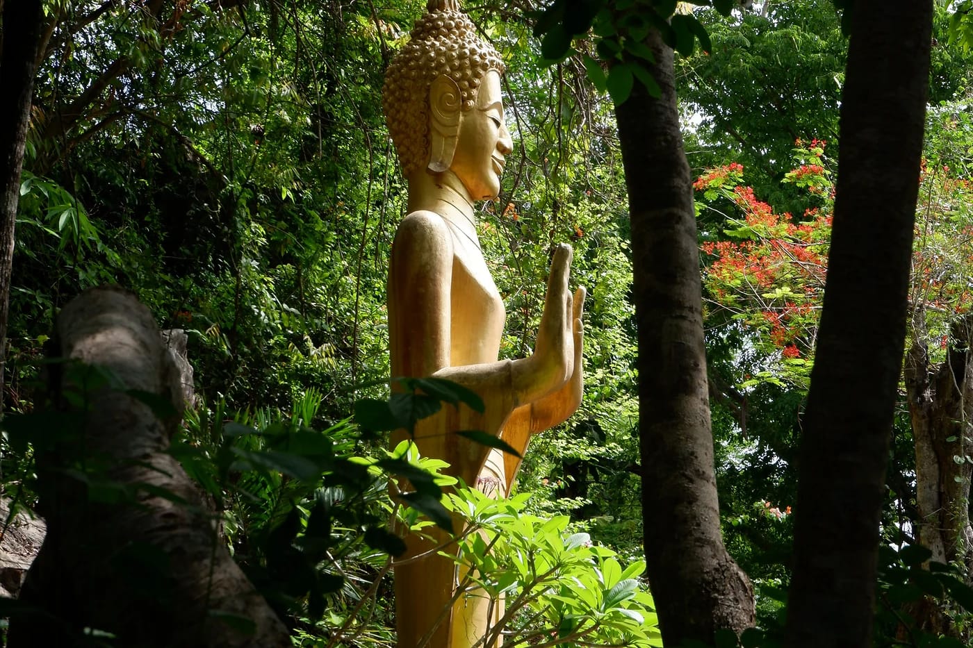 Kultainen Buddha-patsas Luang Prabangissa