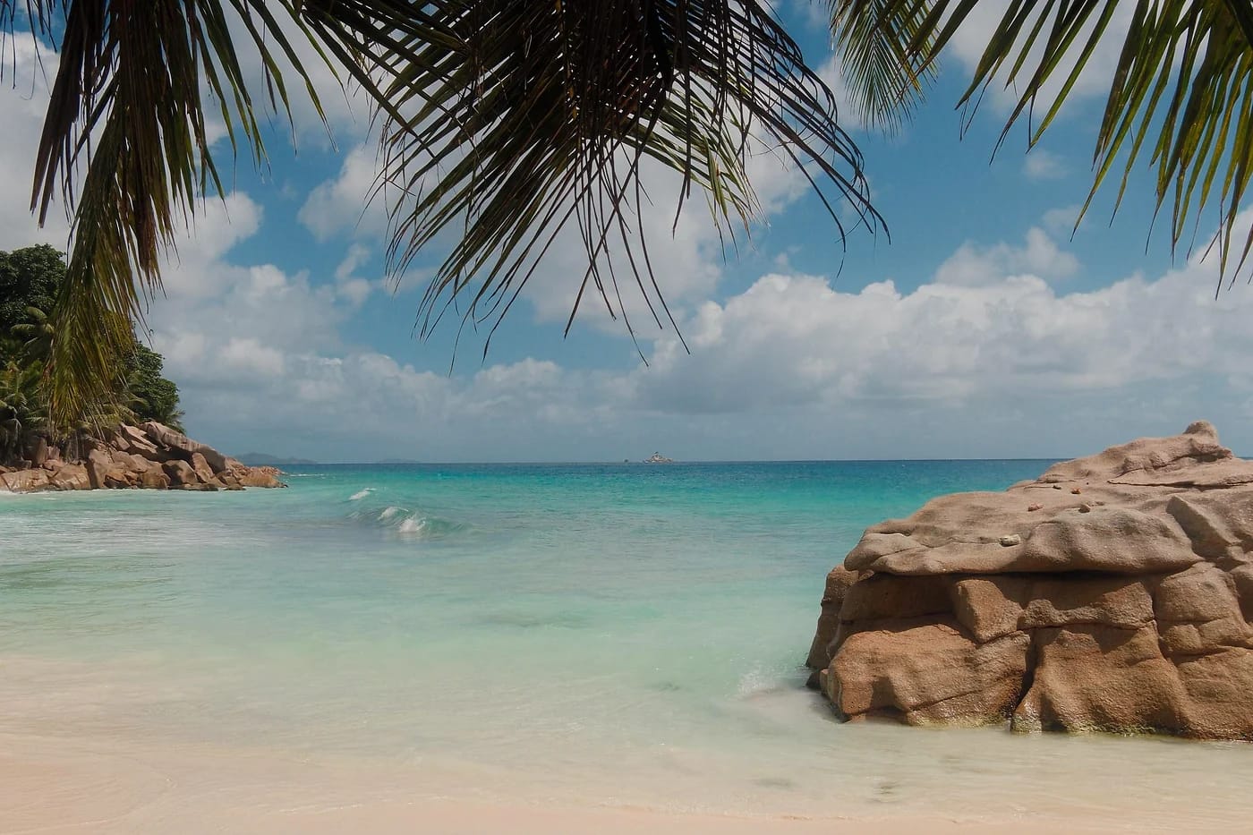 Palmu ja hiekkaranta Seychelleillä