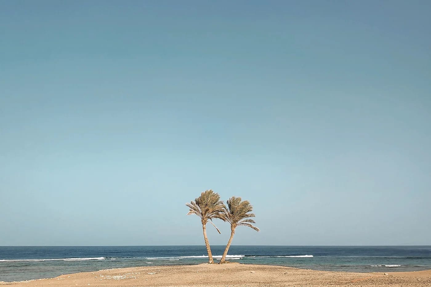 Palmuja Marsa Alamin rannalla