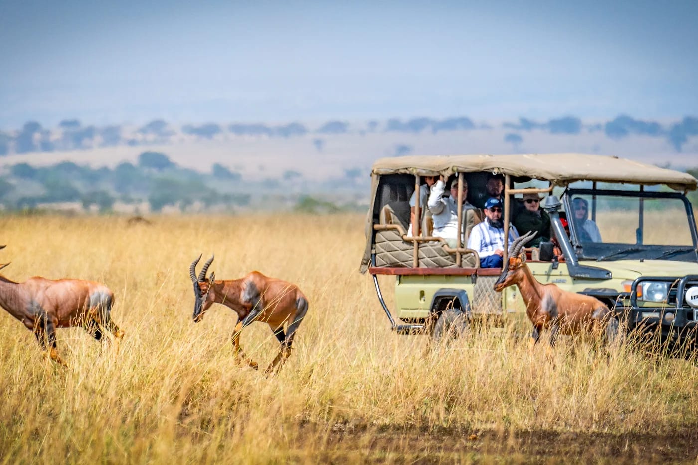 Safariautoja ja antilooppeja Masai Maran savannilla