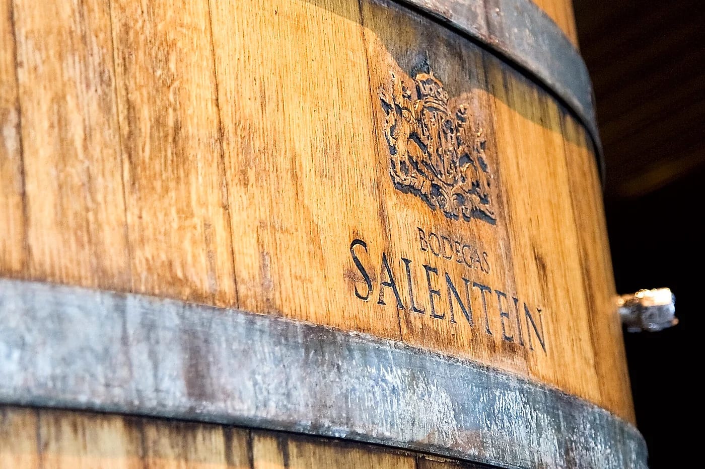 Bodega Salentein