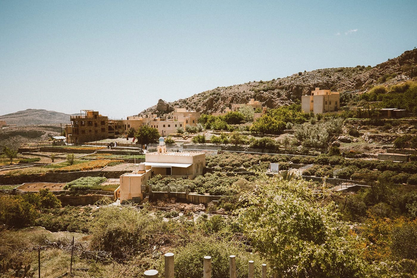 Jebel Akhdarin terassit