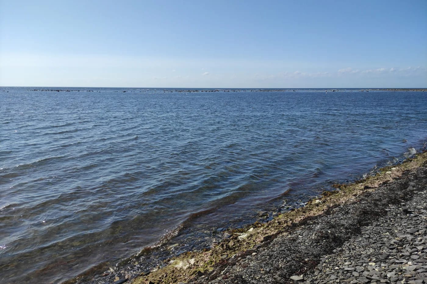 Ölandin maisemaa ja Borgholmin linnanraunio