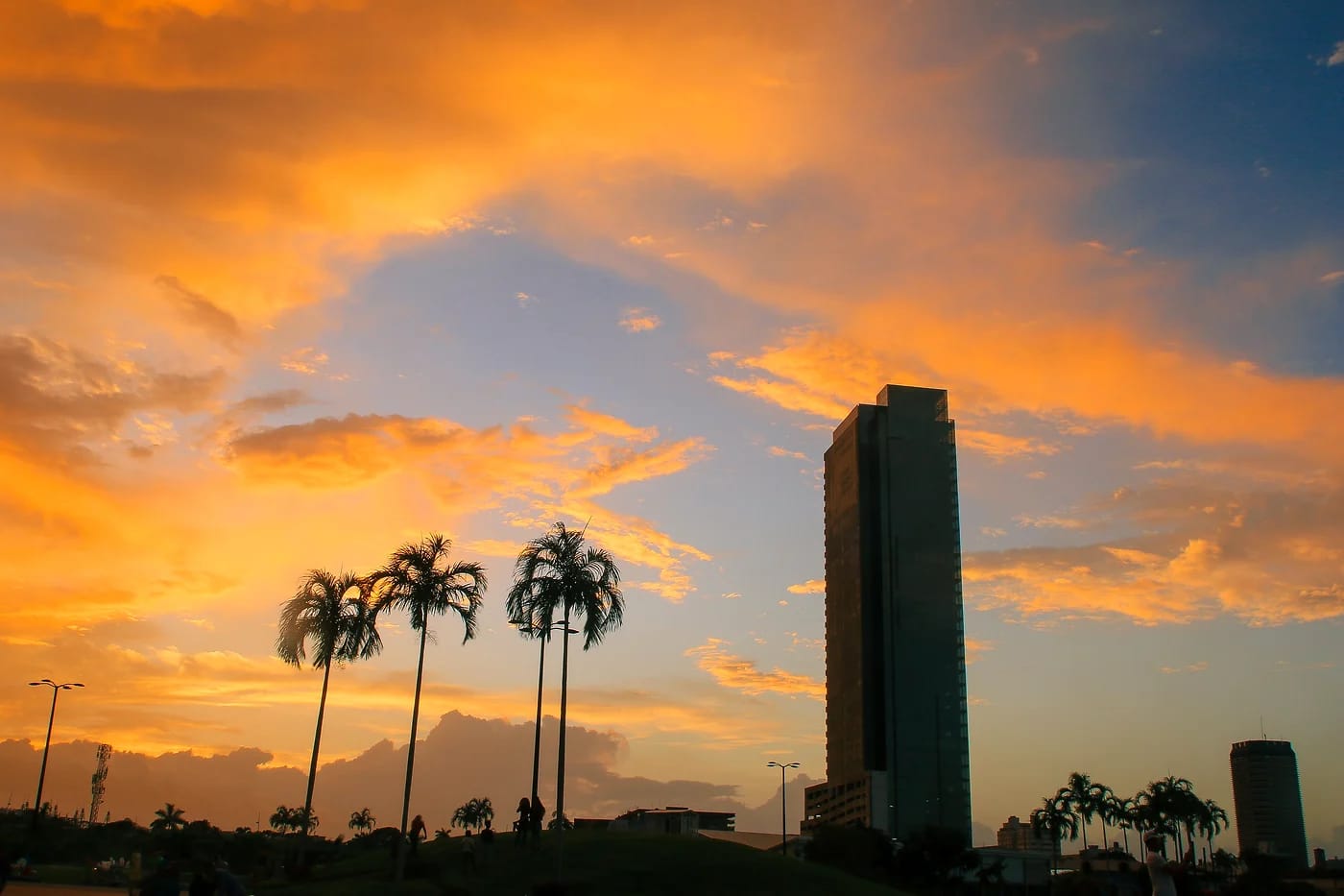 Panama Cityn siluetti ja palmut auringonlaskussa