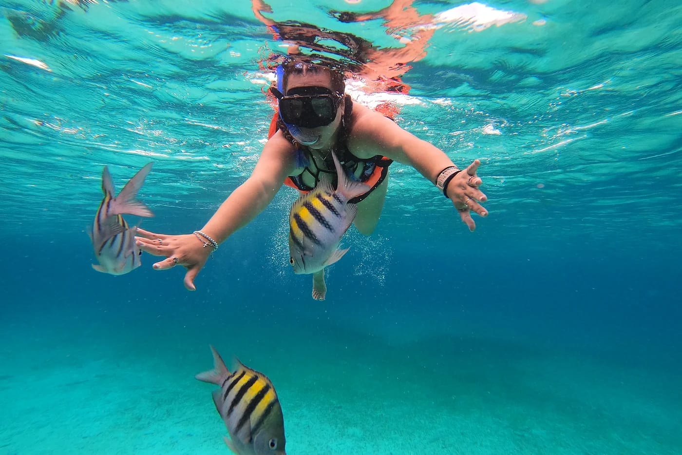 Snorklausta Cozumelin vesissä