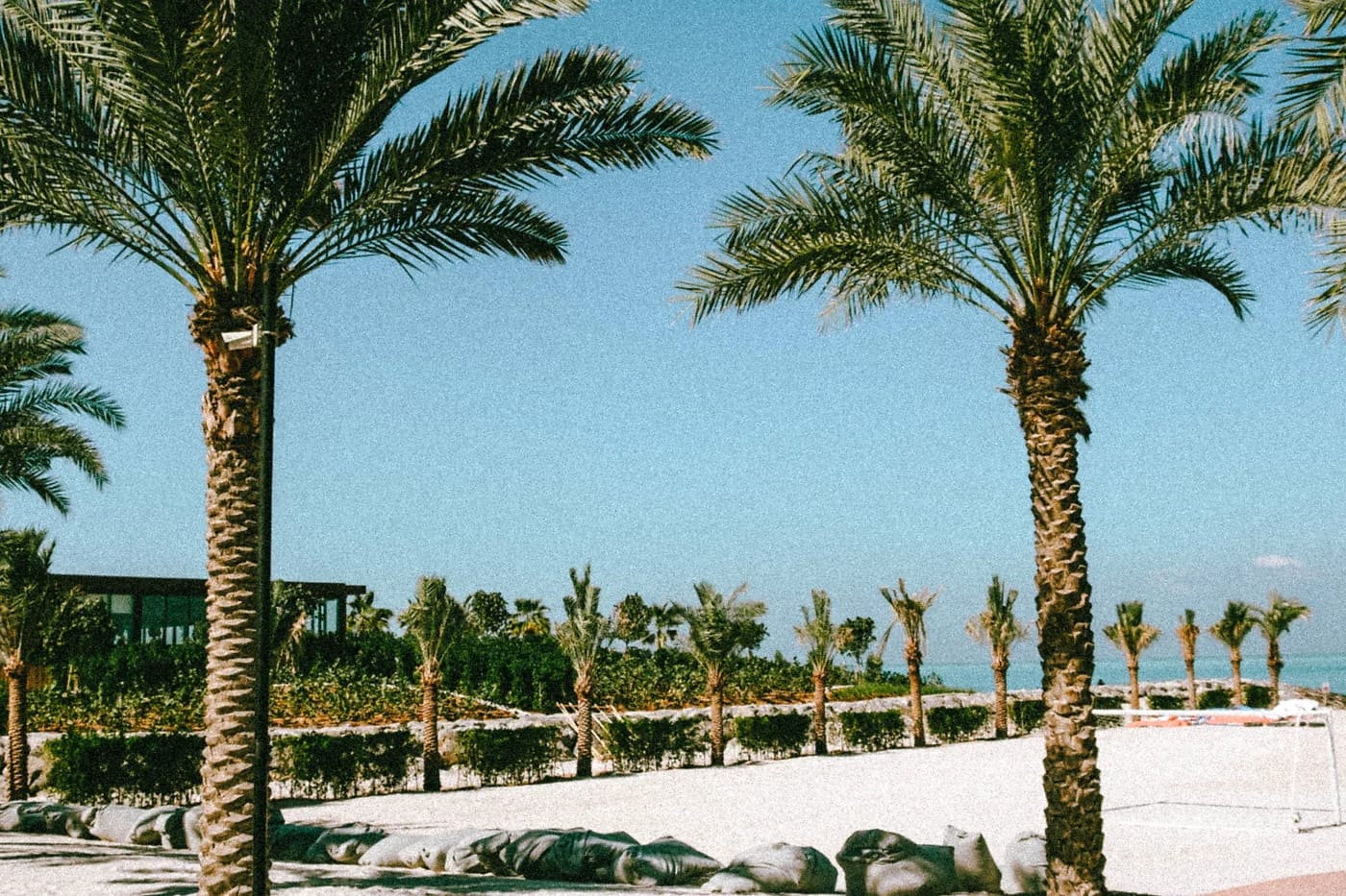 Palmujen reunustama ranta Ras Al Khaimahissa