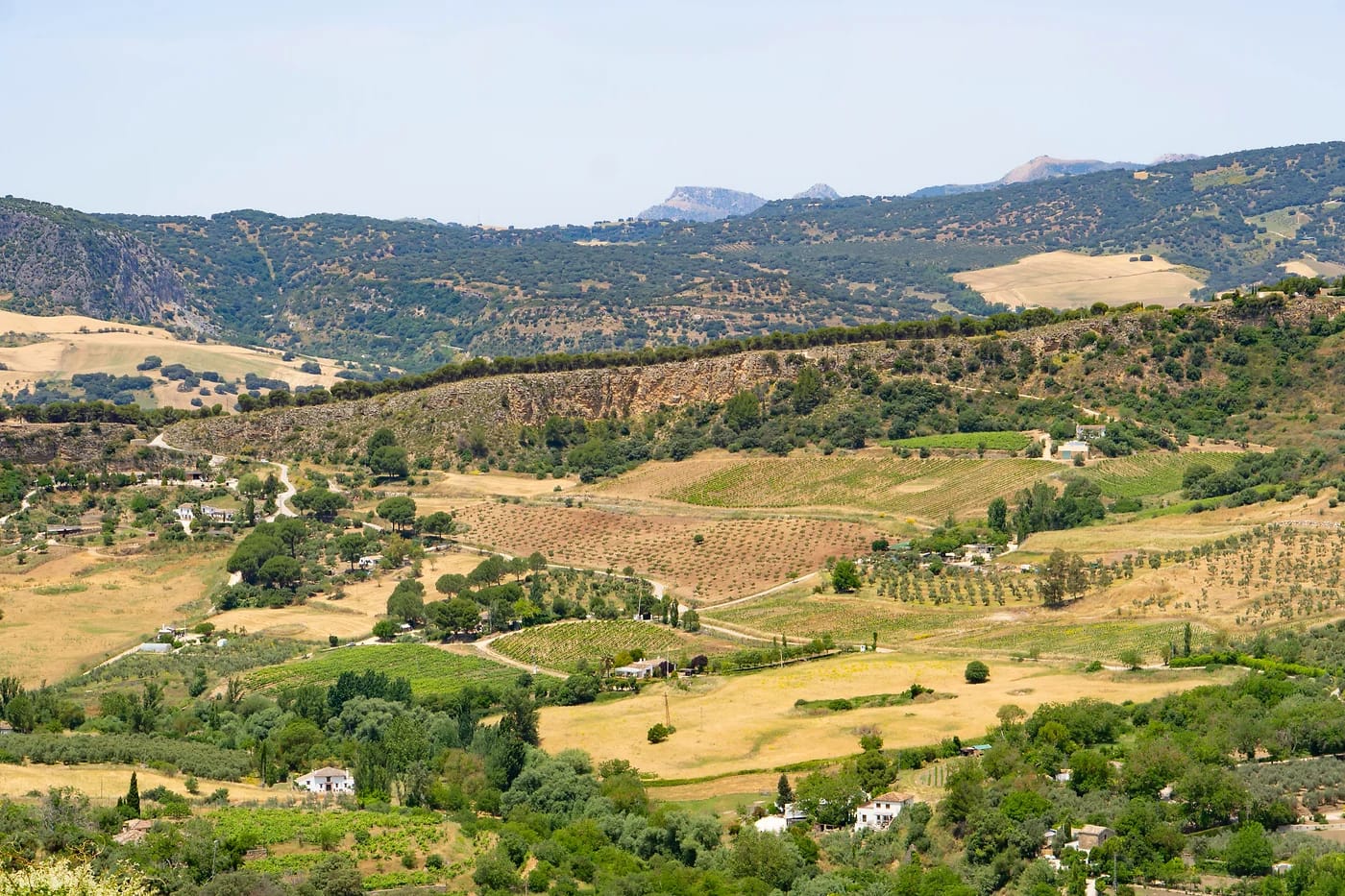 Andalusian kumpuilevaa maaseutua Rondan lähellä