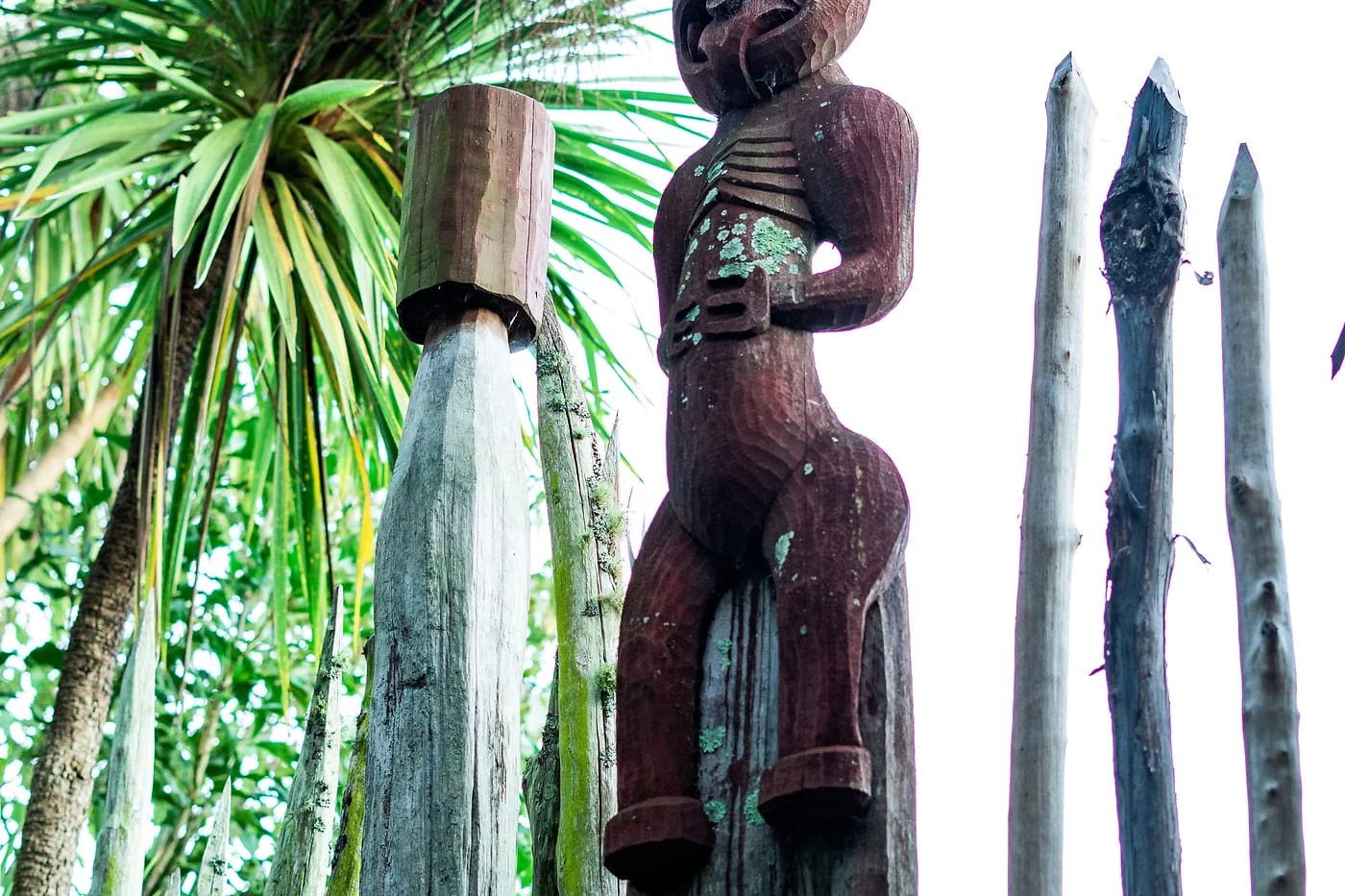 Veistetty maori-patsas rehevässä metsässä Rotoruassa