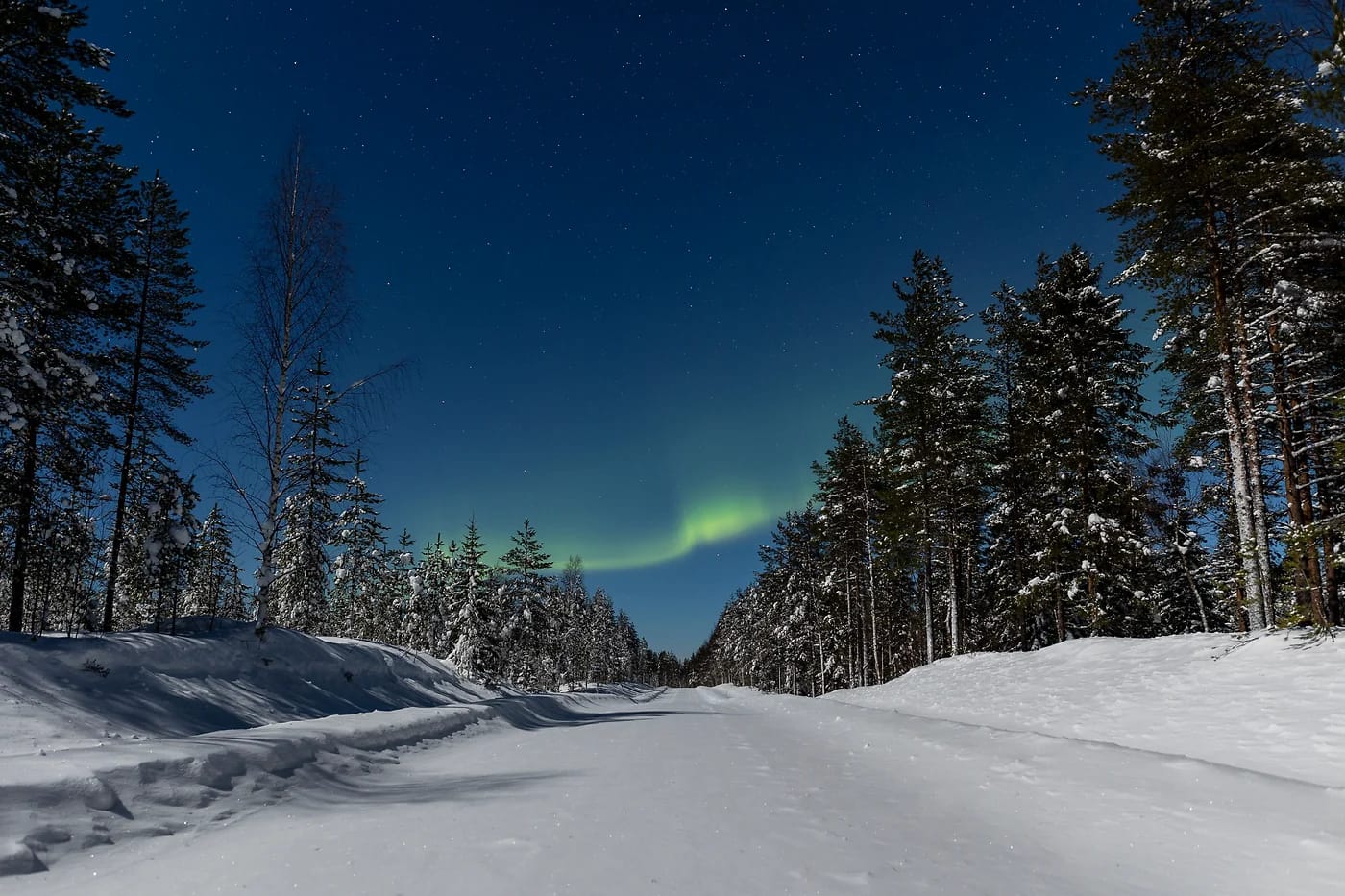 Revontulet lumisen metsätien yllä Lapissa