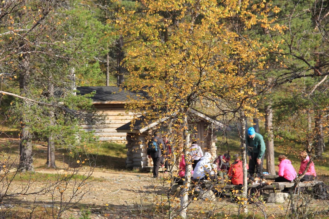 Urho Kekkosen kansallispuiston maastoa