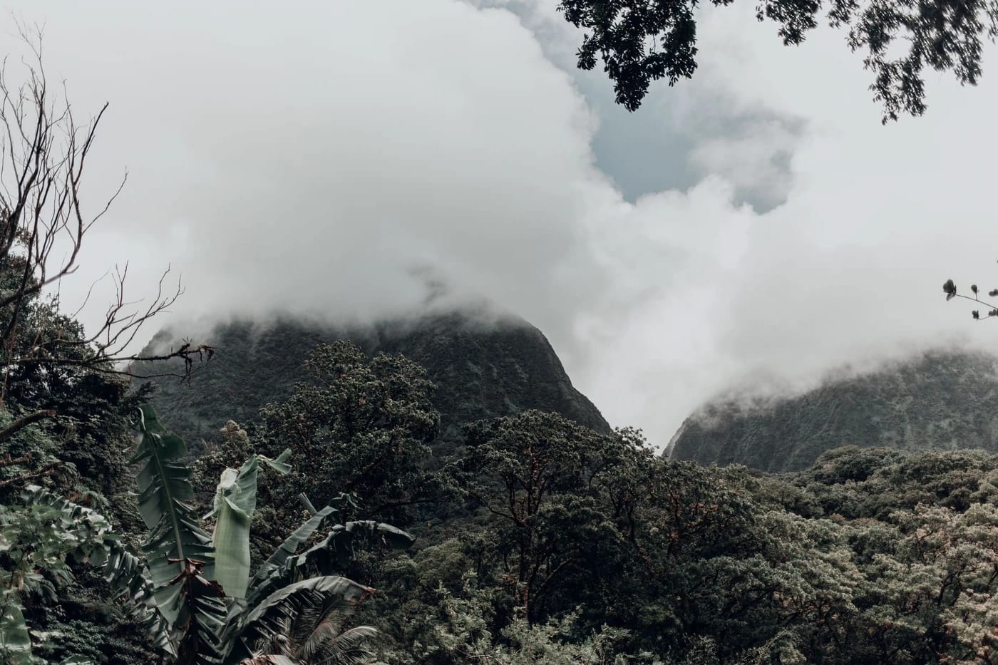 Sumuiset sademetsävuoret Saint Luciassa
