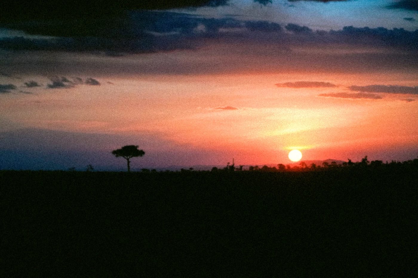 Auringonlasku savannilla